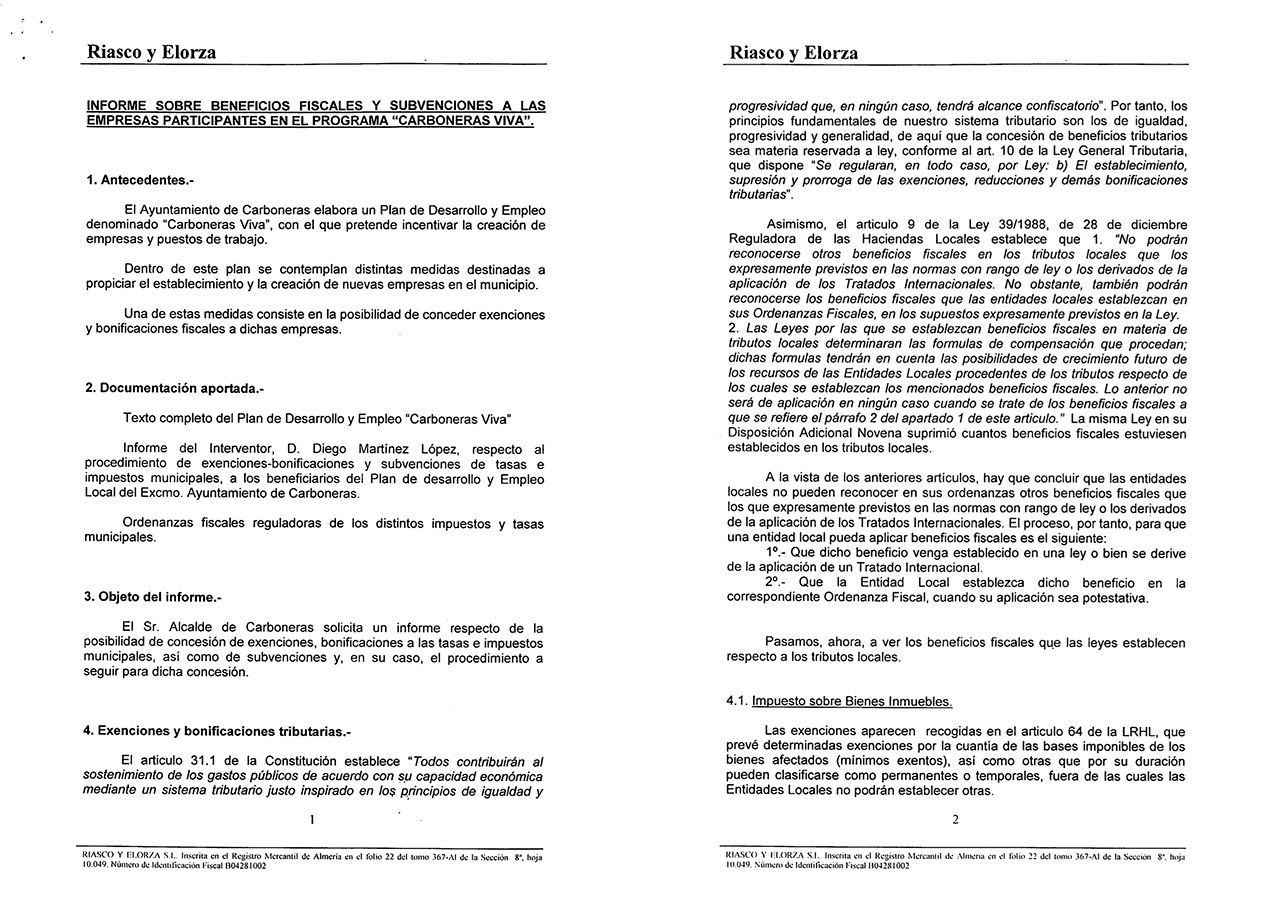 Imagen de las primeras páginas del Informe de Riasco y Elorza